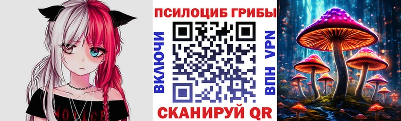 Псилоцибиновые грибы мухоморы  хочу наркоту  Поворино 